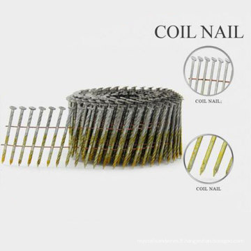 Nouveau design Screw Shank Wire Coil Nails avec un bon prix